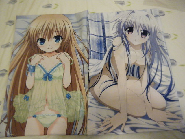 Fundas tipo Dakimakura con tus personajes favoritos.